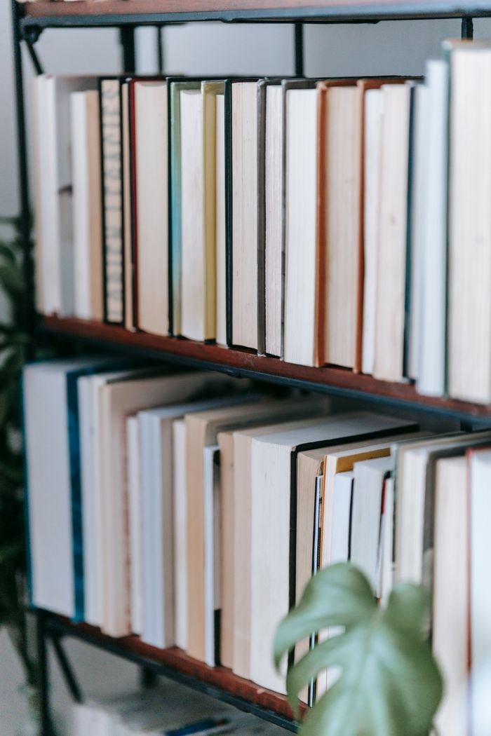 Collection of literature in rows on bookshelves against Monstera plant leaf in house in daytime